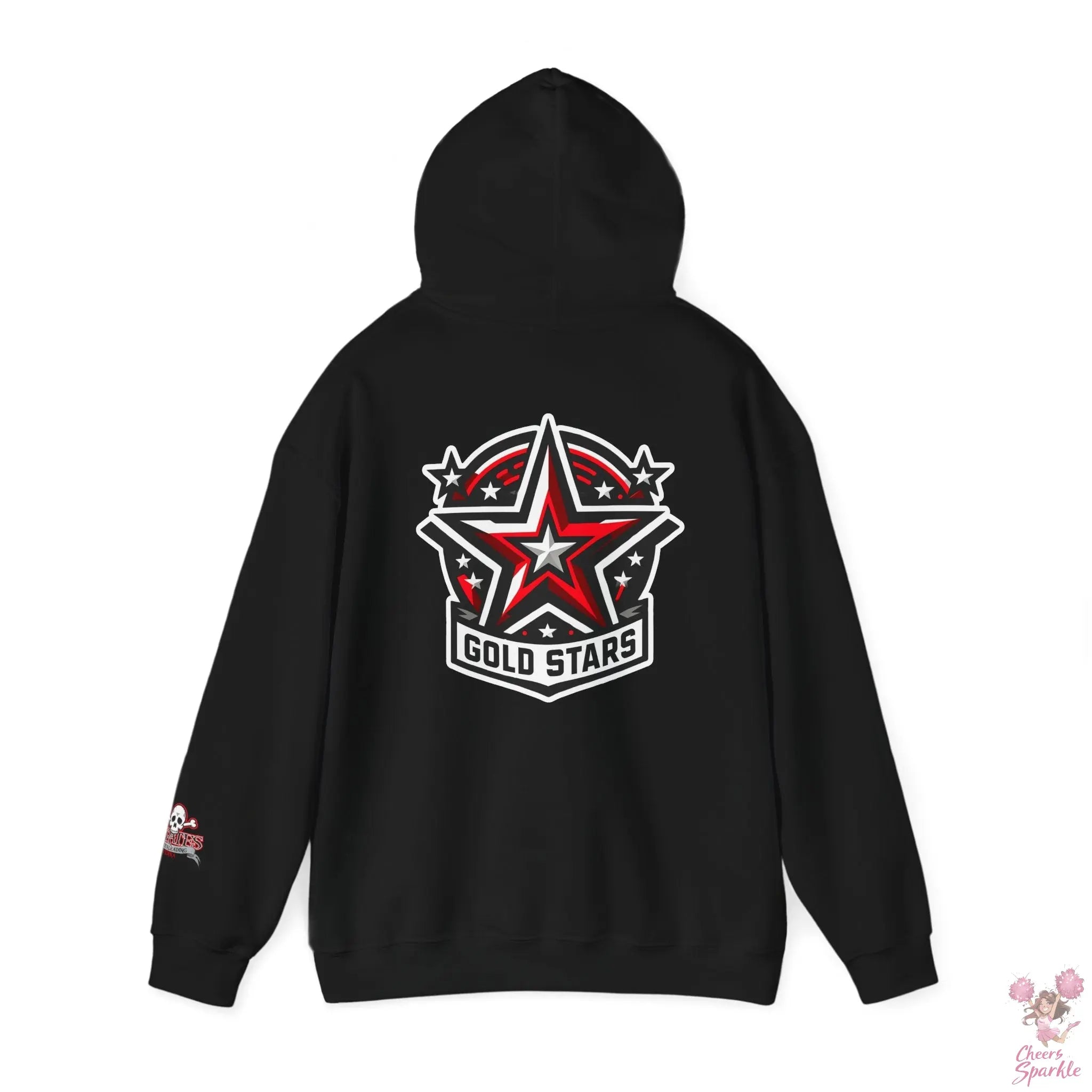 Vienna Pirates TW Hoodie - Gold Stars Printify